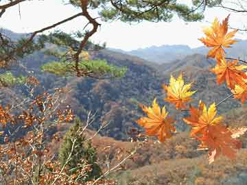 韩国延世大学硕士留学资讯，韩国延世大学硕士留学资讯怎么样